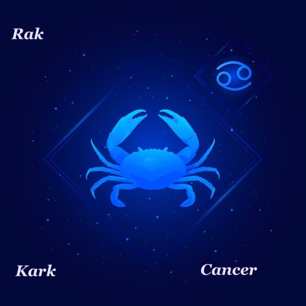 Ascendent RAK ali Luna v Raku