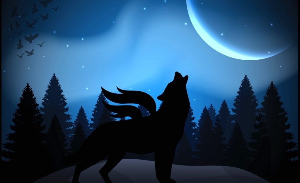 Volčja polna Luna ali Vedska Pušja Luna